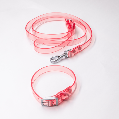 Aura Leash and Collar set