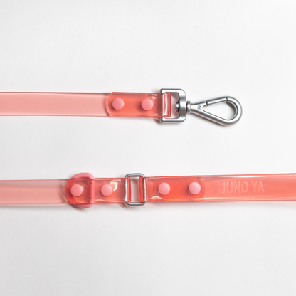 Aura Leash and Collar set